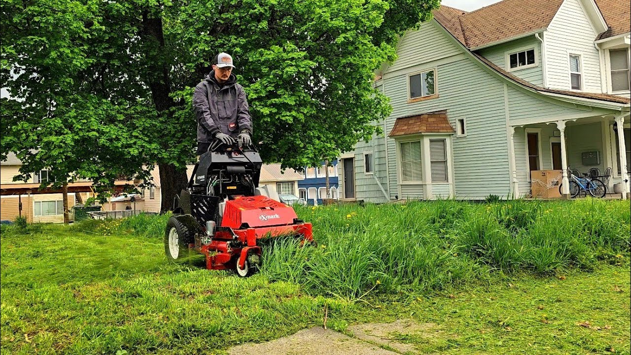Lawn Care MN: Tips for a Lush Lawn All Season Long